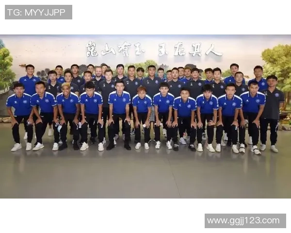 杭州排球队的奋斗与荣耀：挑战赛背后的故事与突破历程